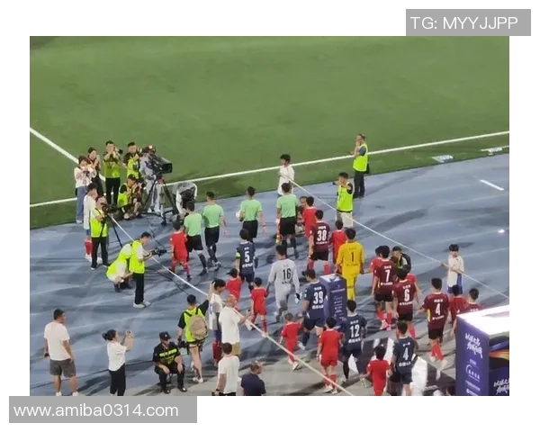 南昌足球明星的崛起与发展之路探秘与成就分享