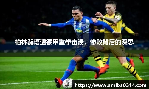 欧博abg官网
