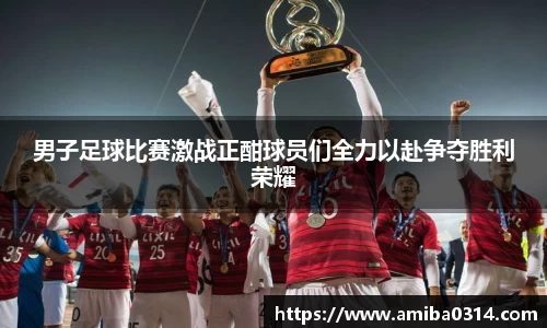 欧博abg