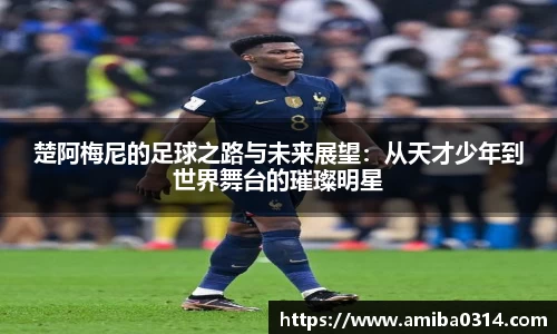欧博abg官方网站